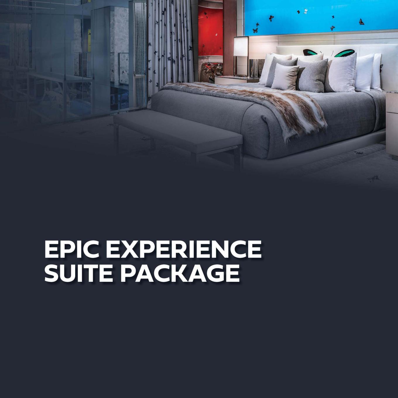 Epic Experience Suite Package